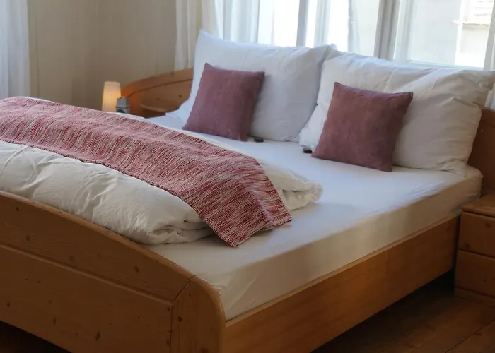 בית הארחה Donkey Degersheim